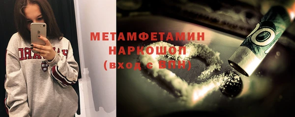 прущие грибы Волоколамск
