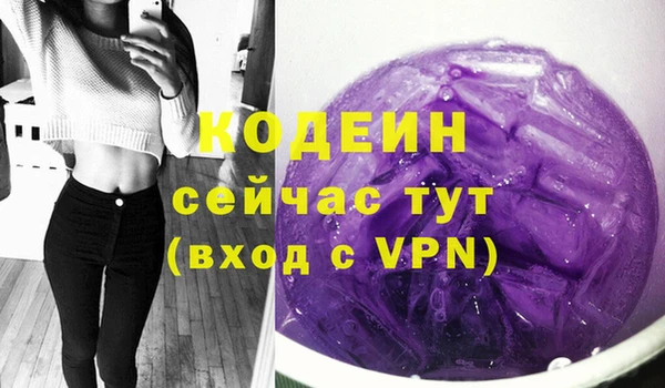 прущие грибы Волоколамск