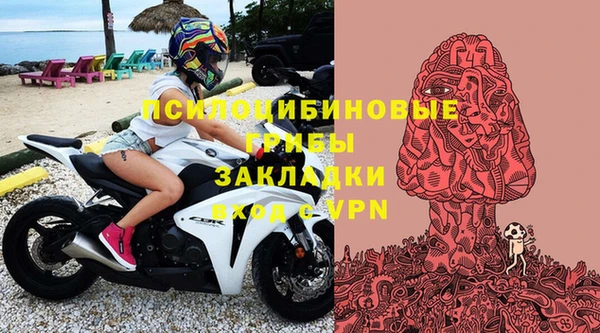 молекула духа Волосово