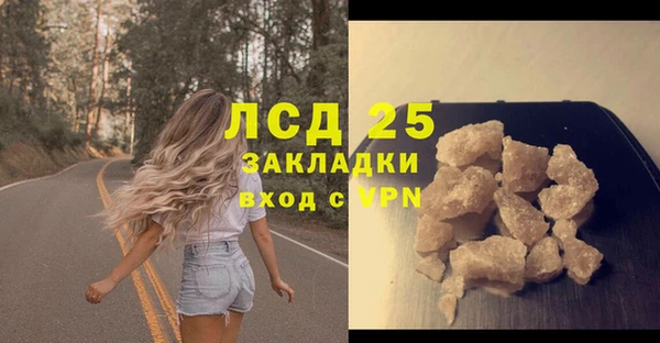 прущие грибы Волоколамск